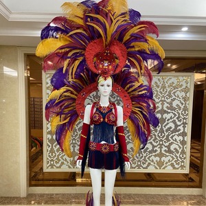 本格的！ブラジル直輸入！豪華サンバ衣装フルセット 羽根の衣装