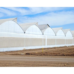 Invernadero de techo de mariposa Ventilación mejorada Estructura duradera Acero galvanizado Disponible <span class=keywords><strong>Agricultura</strong></span> <span class=keywords><strong>hidropónica</strong></span> pequeña y grande - Product Image 2