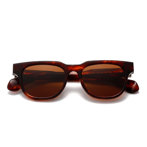 Gafas de Sol de Doble Puente Modernas y de Alta Gama 2026, Polarizadas, de Acetato, para Hombre y Mujer, con Logotipo Personalizado - Product Image 3