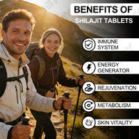 Capsules de Shilajit JBY 500 mg par portion, naturelles, plus de 85 oligo-éléments, acide fulvique, sans gluten, sans OGM, complément alimentaire végétalien