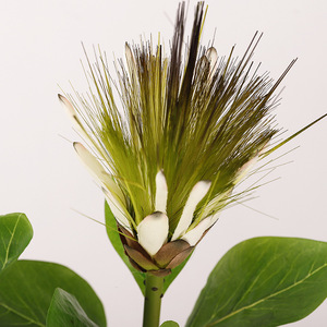 QIHAO Artificial King Protea <b>Single</b> Stem Plastic Silk <b>Flower</b> High Simulation Wedding Home Decor Prop - Product Image 3
