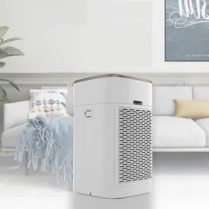 Portable Formaldehyde Removing Negative Air Air Purifiers With Double HEPA H12 Filter
