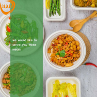 Plateau moulé en pâte biodégradable Assiette jetable en bagasse de canne à sucre avec couvercle pour le camping