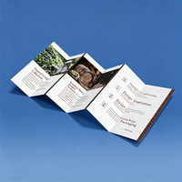 Impression de brochures personnalisées, dépliants, prospectus commerciaux, service de prospectus A5, prospectus numériques, étiquettes suspendues, prospectus, imprimante