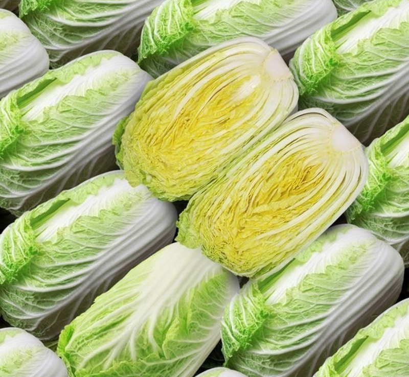 Cabbage