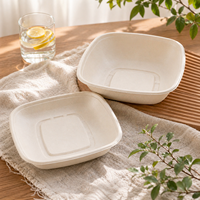 Boîte à lunch jetable biodégradable de 24 oz, barquette alimentaire en pulpe, conteneur alimentaire en bagasse de canne à sucre avec couvercle en PP PET, compatible micro-ondes