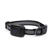 Collier de suivi GPS intelligent étanche pour animaux de compagnie, en nylon avec bande réfléchissante, réglable, vente en gros d'usine