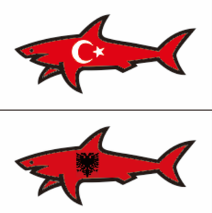 Pegatina de Vinilo con la Bandera de Turquía y Diseño de Tiburón, Adhesivo de PVC Impermeable con Estampado de Animal de Dibujos Animados para Regalos Promocionales - Product Image 1