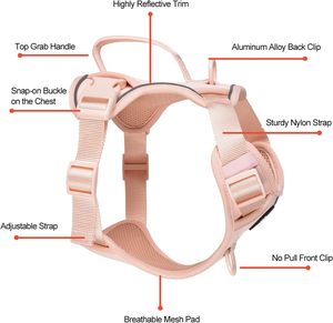 OEM Custom Solid Luxury Breathable <b>Dog</b> Harness Set Ribbons Nylon Leash Collar Padded Eco-Friendly Pet Harness Walking Training - Product Image 3