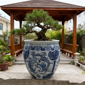Maceta <span class=keywords><strong>de</strong></span> Bonsái <span class=keywords><strong>de</strong></span> Porcelana Azul y Blanca China con Patrón <span class=keywords><strong>de</strong></span> Dragón y Fénix, Maceta Grande <span class=keywords><strong>de</strong></span> Cerámica <span class=keywords><strong>para</strong></span> Árbol <span class=keywords><strong>de</strong></span> Bonsái <span class=keywords><strong>de</strong></span> Pino - Product Image 1