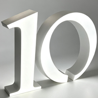 Lettres lumineuses 3D en résine époxy LED, étanches IP65, alimentées par transformateur AC, pour enseignes extérieures de voitures et d'entreprises