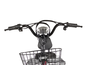 Triciclo Cargo Familiare di Alta Qualità, <span class=keywords><strong>Bicicletta</strong></span> Elettrica a <span class=keywords><strong>Tre</strong></span> <span class=keywords><strong>Ruote</strong></span> da 350W per Adulti - Product Image 3