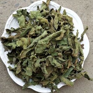 Produits alimentaires et boissons à base <span class=keywords><strong>d</strong></span>'<span class=keywords><strong>ortie</strong></span> - Product Image 4