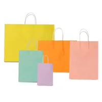 Fancy Design Idea for Lingerie Shopping Bag-PX000112