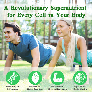 Acentiallabs Suplemento NAD Antienvejecimiento de Alta Absorción al por Mayor, Otros Suplementos de Salud, Cápsulas de NAD+ con Resveratrol - Product Image 6