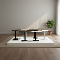 Table basse d'appoint en métal au design moderne, réglable en hauteur, pour salon domestique – Meilleure vente