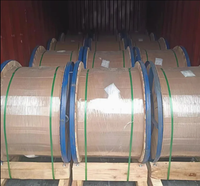 ASTM B228 Prix d'usine de fil toronné de mise à la terre en acier plaqué de cuivre à haute résistance