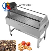 Séchoir à cacao, chauffage solaire permanent, mini séchoir solaire pour fruits et légumes, séchoir alimentaire solaire, déshydrateur, machine de séchage