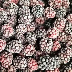 Iqf Fruit Producten Bevroren Bessen Blackberry