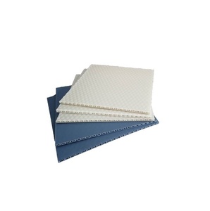 Paneles de panal de PP de alta resistencia para aplicaciones estructurales y pisos de vehículos Hoja de protección de burbujas ligera - Product Image 1
