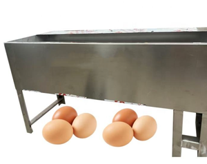 Professional Electric Egg Washing Machine Motor Bearing for Bakery Dairy Products - Product Image 4