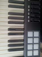 WORLDE Mini II PANDA49 MIDI Controller, 49 Keys Portable USB MIDI Keyboard Controller, Electronic Musical Instrument