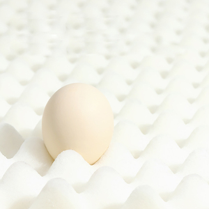 Thân Thiện Với Môi Con Chó Xe Giường Chỉnh Hình Bộ Nhớ Bọt Giường Con Chó Tùy Chỉnh Sang Trọng Bộ Nhớ Bọt Vật Nuôi Con Chó Giường Chống Trượt Dưới <span class=keywords><strong>C</strong></span>ó Thể Giặt Bìa - Product Image 5