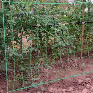 Agricultura agrícola escalada treliça suporte vegetal redes 6 anos de vida útil 10-15cm malha verde 100% HDPE novo material