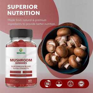 OEM/ODM suplemen Herbal Gummies 10 campuran jamur untuk dewasa mendukung fungsi otak & manfaat memori - Product Image 3