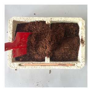 Good Earth Kids Children Kit de cultivo de plantas de simulación Kit de Agricultura de estilo rural para uso en el suelo Hecho de fibra vegetal - Product Image 6