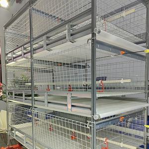 Çin üretimi tavuk kümesi broiler ve ucuz et broiler yetiştirme tavuk pil kafesleri fiyatları - Product Image 2
