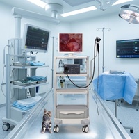Système d'endoscopie vétérinaire Mindray Vetina Es3, appareil d'endoscopie à prix avantageux