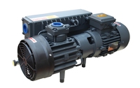 Bomba de vacío de paletas rotativas DLT V0040 de fábrica, 40m³/h -0.1mbar, trifásica, con aceite, hierro, OEM, moldeo de caucho, liofilización