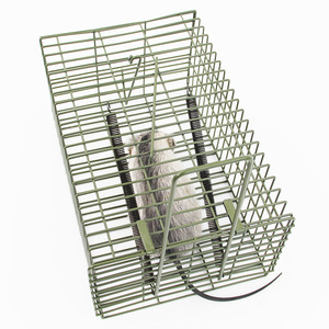 Haierc <strong>Professional</strong> <strong>Mouse</strong> Rat <strong>Cage</strong> Trap Small Animal Trap <strong>Cage</strong> - Product Image 1