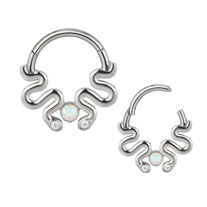 Fábrica ASTM F136 Titanio Tabique Nariz Piercing Helix Cartílago Rook Aro Pendiente Bisagras Clicker Segmento Nariz Anillos - Product Image 3