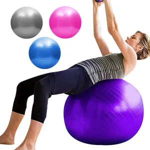 9Cm 10Cm 15Cm 22Cm 30Cm 50Cm 55Cm 90Cm 95Cm 100Cm 110Cm 120Cm 135Cm Latihan Pilates Yoga Gym Bola