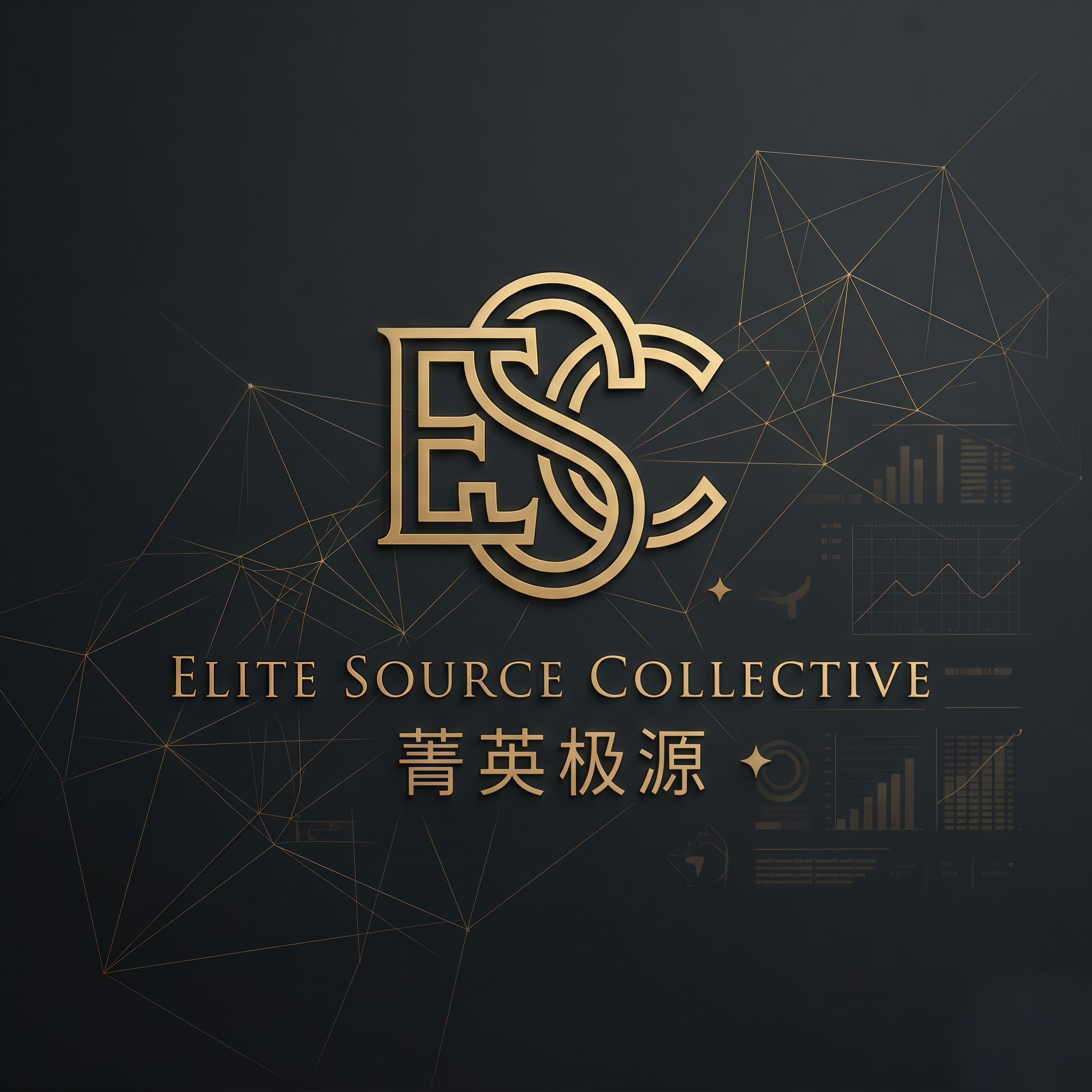 Chongqing Elite Source Collective Trading Co., Ltd. logo