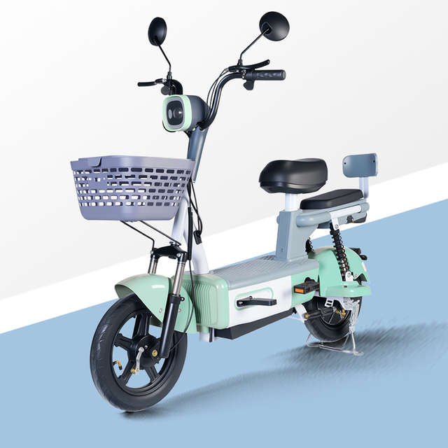 Adult Electric Bicycle 48V 350W E Bike