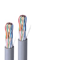 Câbles de données en gros UTP CAT 3 Câble téléphonique Code couleur 50 paires - 50x2xAWG 24 PVC