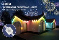 SHIJI fabricant UCS2904 RGBW guirlandes de lumières de Noël permanentes 30mm IP67 extérieur étanche LED Pixel Point Source de lumière