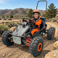 Kart électrique 500W 48V pour adultes, buggy de course sur route, autonomie de 40 km, haute puissance, certifié CE, vitesse de 35 km/h, véhicule de karting