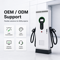 Station de recharge rapide DC pour véhicules électriques 30kW 40kW 60kW, simple/double borne, GB/T, IP54, montage au sol, OCPP 1.6J pour la recharge publique commerciale