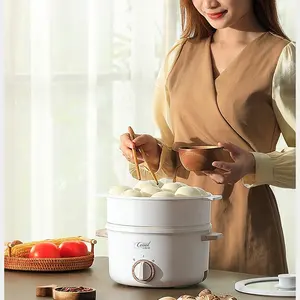 Hotpot elettrico integrato multifunzionale per uso domestico