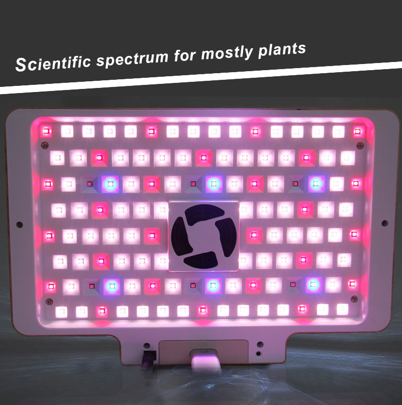 custom urban grow kits