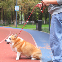 Laisse de traction confortable pour chien, qualité course, anti-explosion, avec boucle en silicone souple et verrou rotatif flexible, pour la promenade et l'entraînement du chien