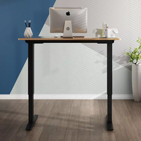 Table d'ordinateur ergonomique et moderne, bureau sur pied à Double moteur, bureau sur pied électrique réglable en hauteur, bureau de poste de travail