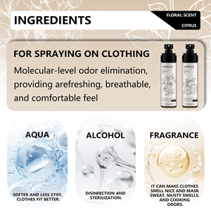Spray Parfumé pour Tissus Longue Durée Parfum Agrumes Neutraliseur d'Odeurs pour Vêtements Rafraîchissement Profond Respirant Confortable 100ml - Product Image 3