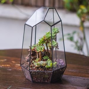 Terrario Grande Personalizzabile in Metallo e Vetro per Piante, Terrario a Casetta Nero in Vetro per Piante Grasse con Apertura, Serra a Terrario in Vetro per Piante - Product Image 1
