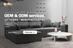 Saien מושלם fleece מותאם אישית ספה סלון ספה ספה ספה כיסא גלגלים סלון מינימליסטי - Product Image 2