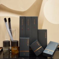 Kits dentaires d'hôtel Ranbay personnalisables haut de gamme en plastique, avec estampage à chaud doré et éléments de style chinois, articles de toilette pour hôtel